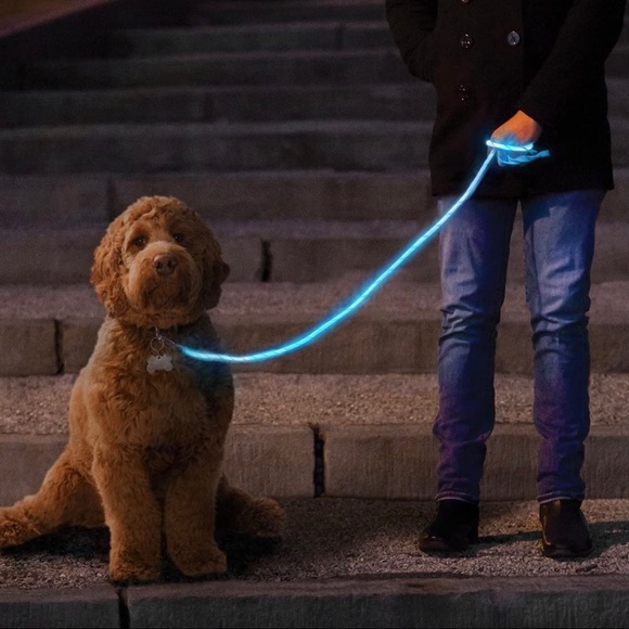NiteyLeash LED Glow In The Dark Pet Dog Leash - Picture 5 of 8